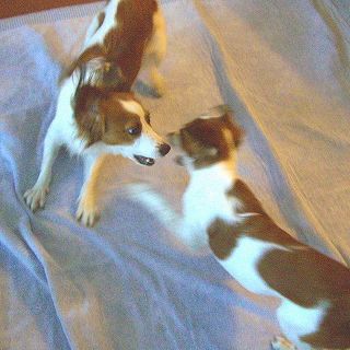 c0065512_2271559.jpg