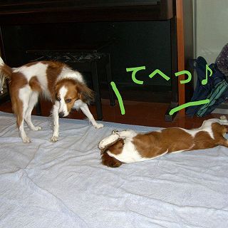c0065512_23313.jpg