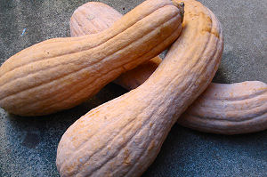 f0007926_17513231.jpg