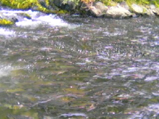 f0056435_23473437.jpg