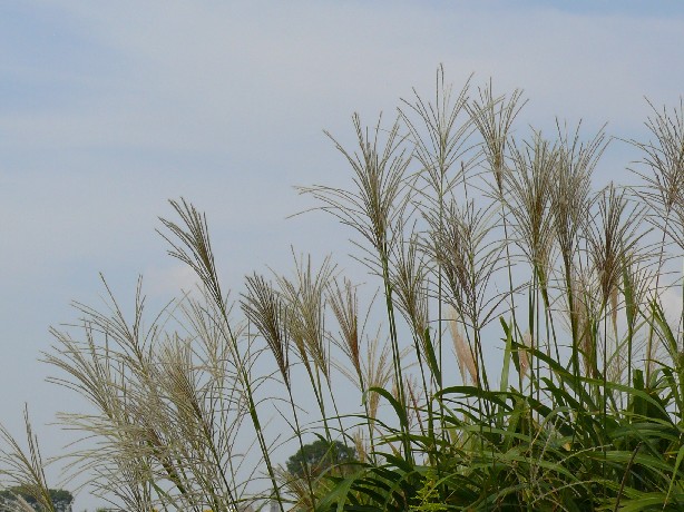 b0088444_23105747.jpg