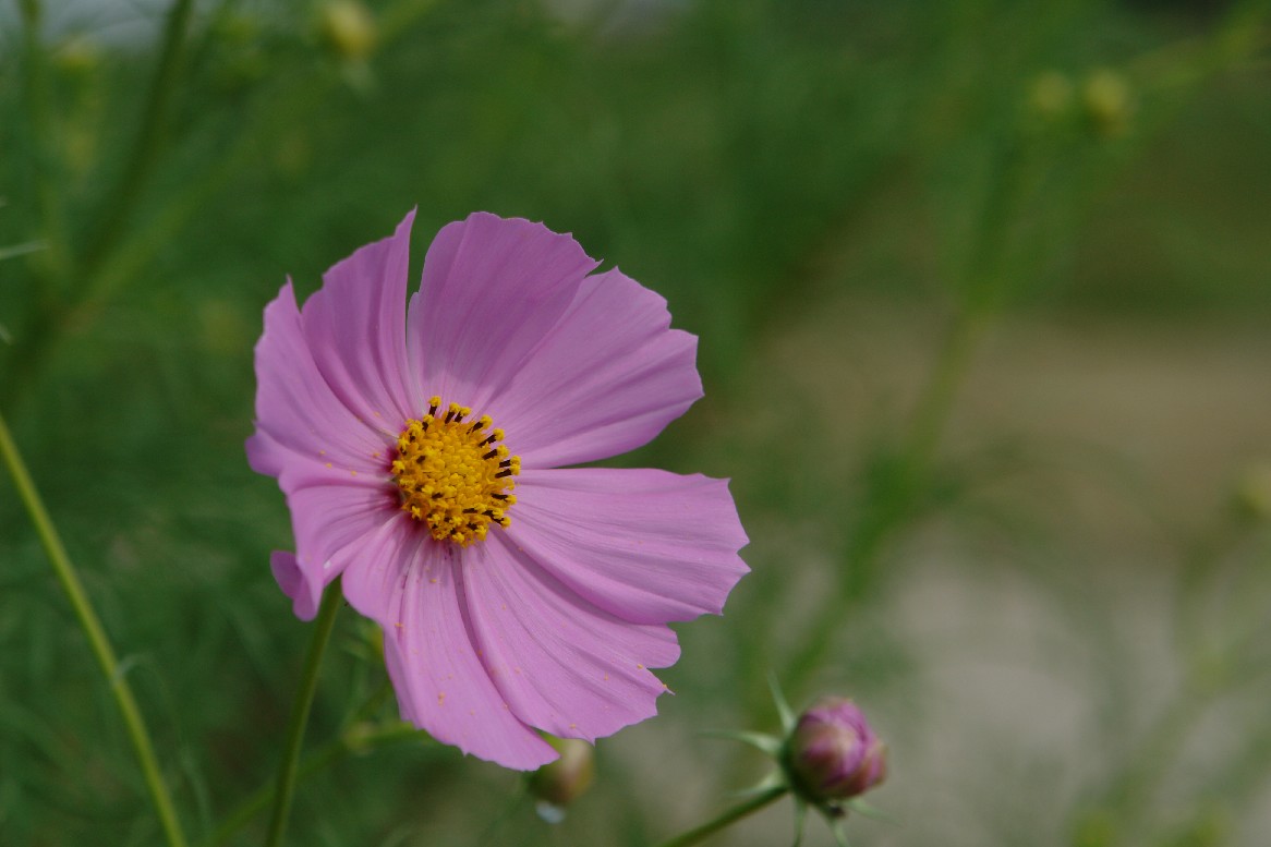 b0088444_232361.jpg