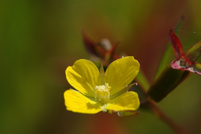 木曽川_b0088444_239831.jpg