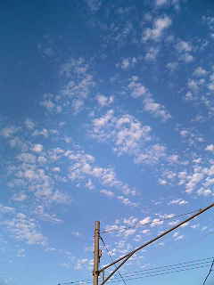 e0089761_0312631.jpg