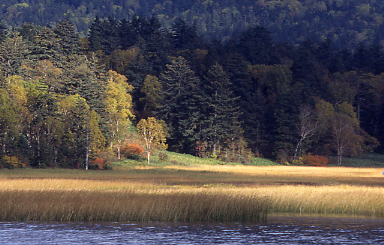 d0025894_085981.jpg