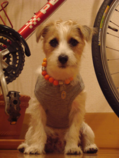 f0080105_020301.jpg