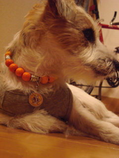 f0080105_021132.jpg