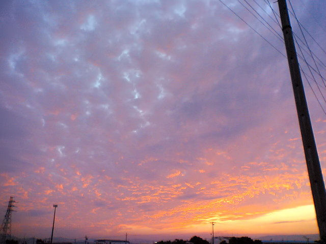 a0030713_20213671.jpg