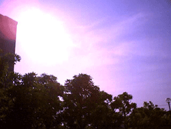 a0055913_0104156.gif