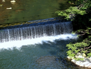 自然ってすばらしい！　秋近し、箱根塔ノ沢_e0010418_15581741.jpg