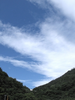 自然ってすばらしい！　秋近し、箱根塔ノ沢_e0010418_15585852.jpg