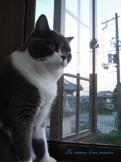 f0032020_12432337.jpg