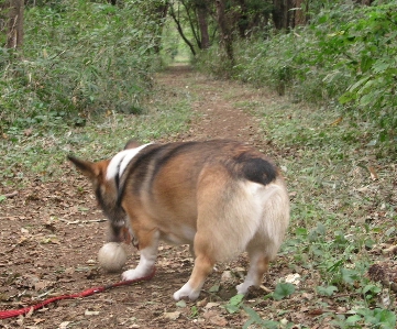 e0071225_2304599.jpg