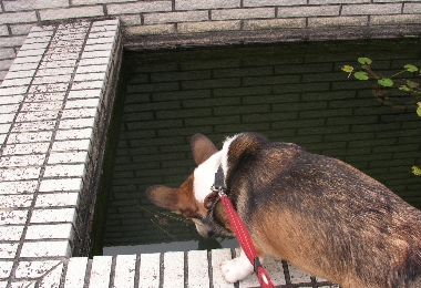 e0071225_23304233.jpg