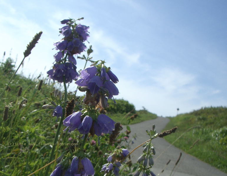 景色だけで_a0042928_20115975.jpg