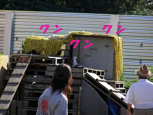 a0092032_13362195.jpg