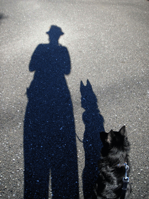 d0049135_1345312.gif
