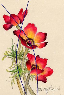 赤いアネモネ : 油絵画家、永月水人のArt Life