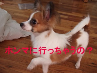 d0091140_7112719.jpg