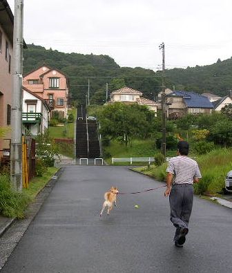 2006年10月3日(火)・・・秋晴れⅡ_f0060461_13512295.jpg