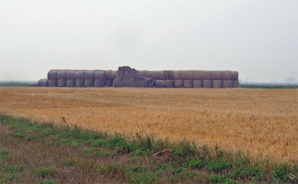 f0004965_8125643.jpg