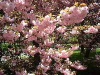 a0027277_072426.jpg