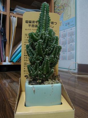 c0052779_21163837.jpg