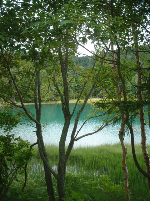 e0005280_23174534.jpg