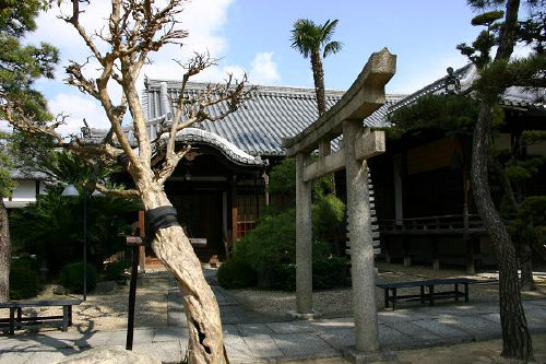 <第60番 金剛院>_a0045381_6221487.jpg