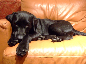 f0001698_15957.jpg