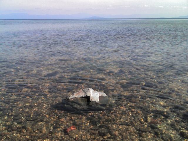 d0071507_0592393.jpg