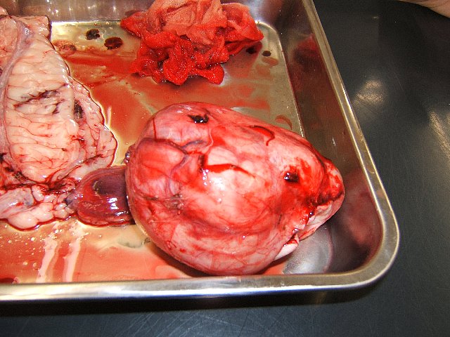 e0029307_2363070.jpg