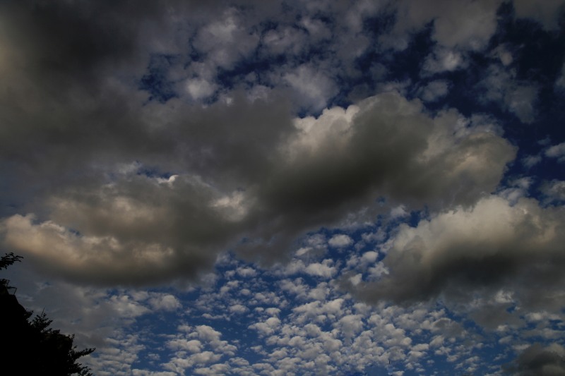 c0071611_10391579.jpg