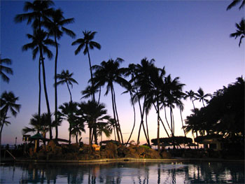 １日目：ハワイアンな夜を楽しむ_e0055414_23274460.jpg