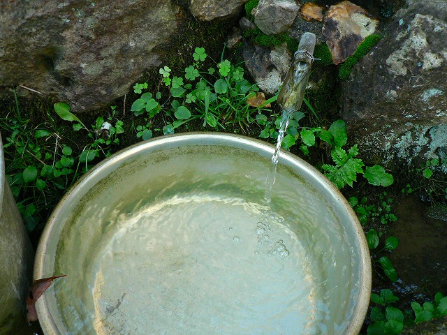 c0057415_21512949.jpg