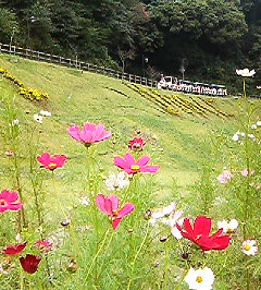 d0065116_16275845.jpg