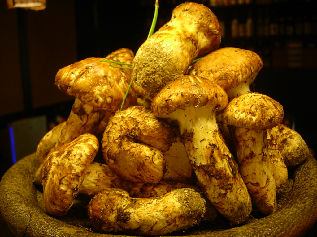d0000919_15364633.jpg
