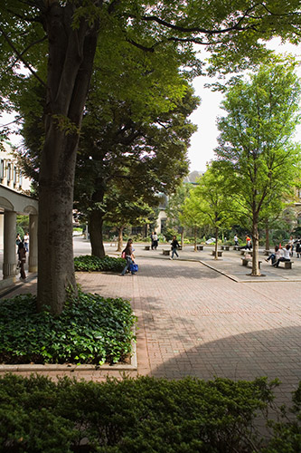 f0077521_20123620.jpg