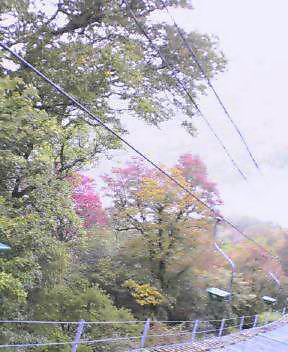 c0089831_6505072.jpg