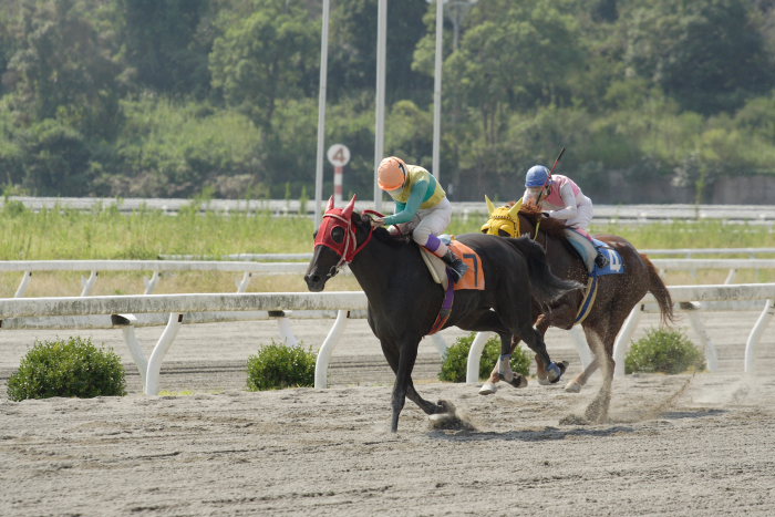 2006年9月30日（土） 高知競馬_a0077663_1812485.jpg