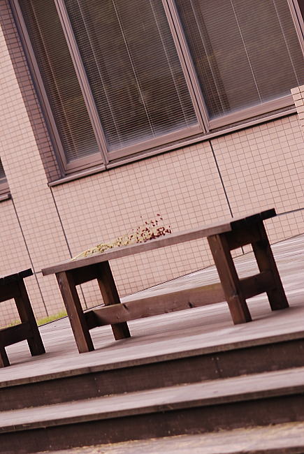 吾亦紅~ワレモコウ~_a0088868_11444062.jpg