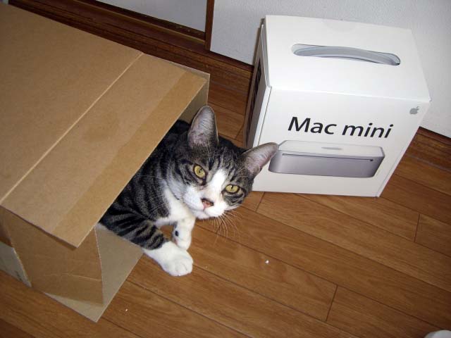 Mac miniを買いました_c0066368_05289.jpg