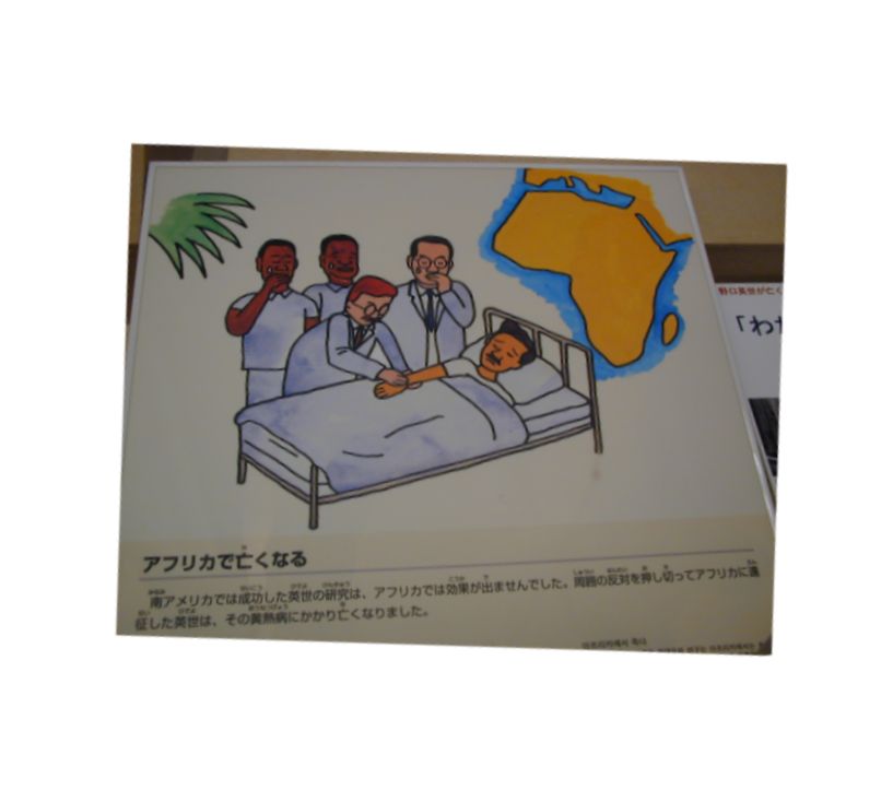 野口英世物語 6 黄熱病研究中 同病原菌に感染し 51歳で死去する 西アフリカにて 私の写真集 野口英世物語 6 黄熱病研究中 同病原菌に感染し 51歳で死去する 西アフリカにて 私の写真集