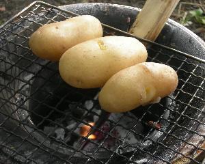 f0061678_014738.jpg