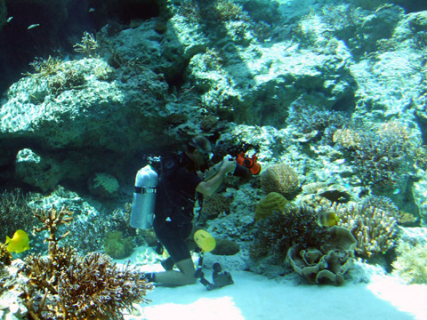 e0034994_23455218.jpg