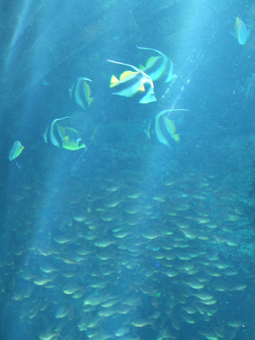 e0034994_23462124.jpg