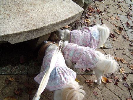 c0011204_22252711.jpg