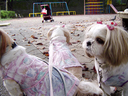 c0011204_22285160.jpg