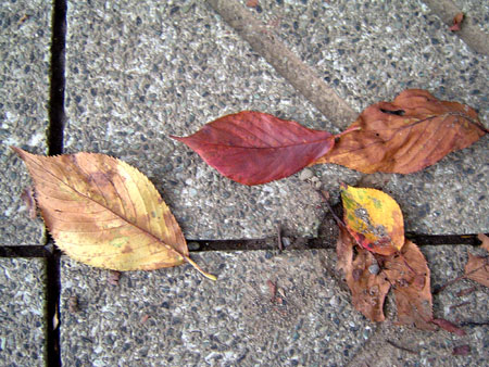 c0011204_2229135.jpg