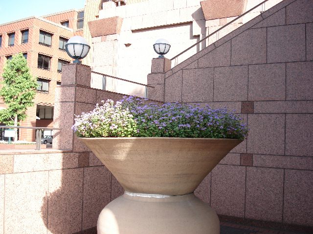 f0084806_8434025.jpg